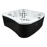 Спа бассейн Coyote Spa Tucson